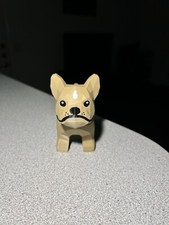 Grande bulldog francese